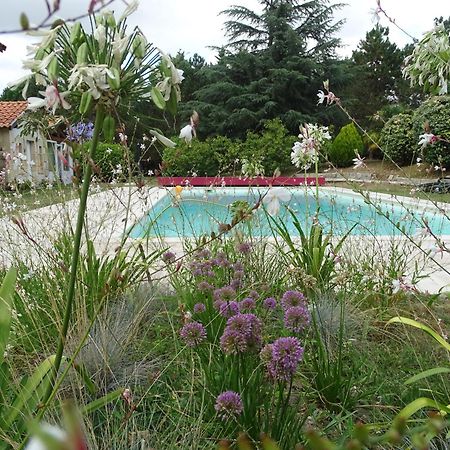 Villa Entiere Du Chateau Lacroix De Civrac 3 Ch, 3 Sdb, Piscine Xxl,Sauna, 4 Etoiles,7 Pers Luaran gambar